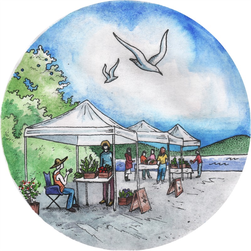 Maine Farmers' Market Trail Maine Federation of Farmers' Markets