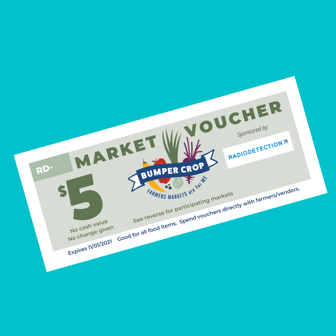 Radio-Detection-voucher-2-2